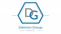 DELMON GROUP