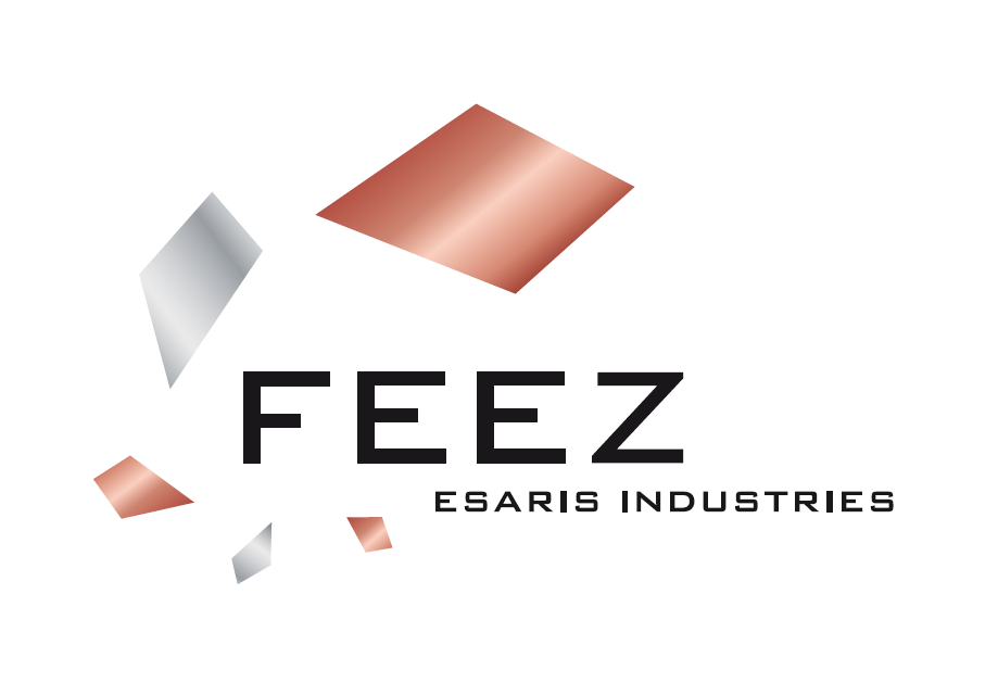 FEEZ SARL 